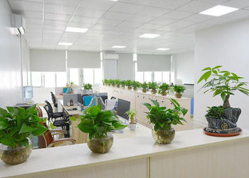 Chongqing Lingai Technology Co., Ltd